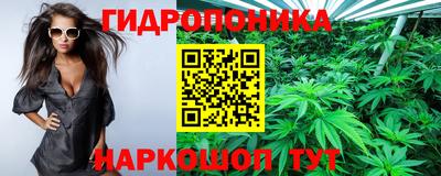 твердый Севастополь