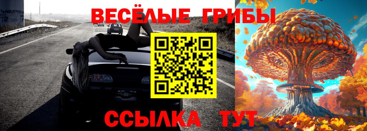 Галлюциногенные грибы Psilocybe Спасск-Дальний
